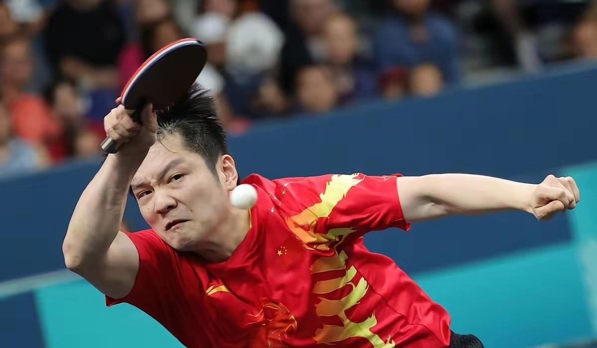 日本队碾压波兰队，樊振东状态火热的简单介绍