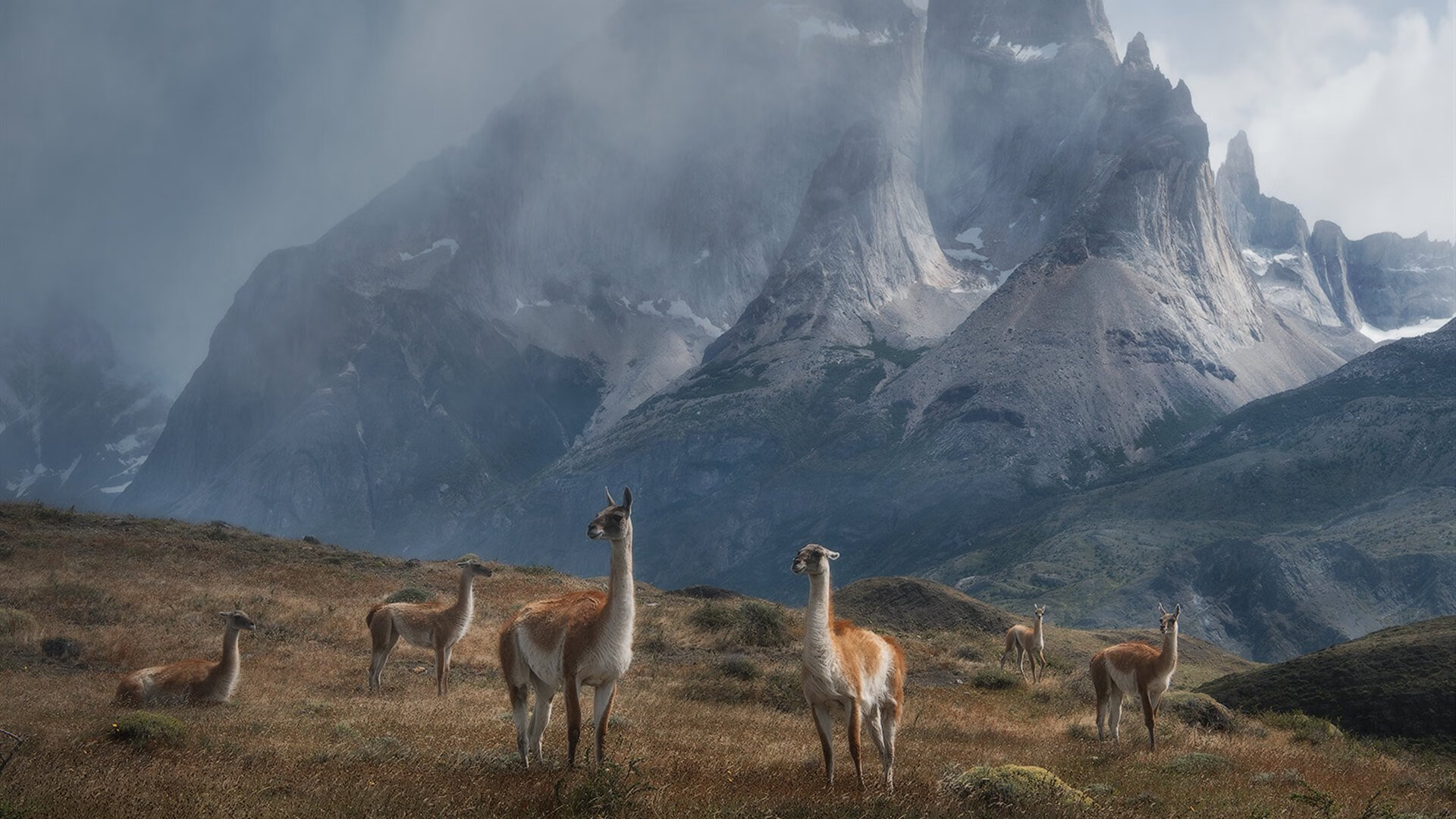 我来帮你构思一篇具有唯一性的体育评论文章