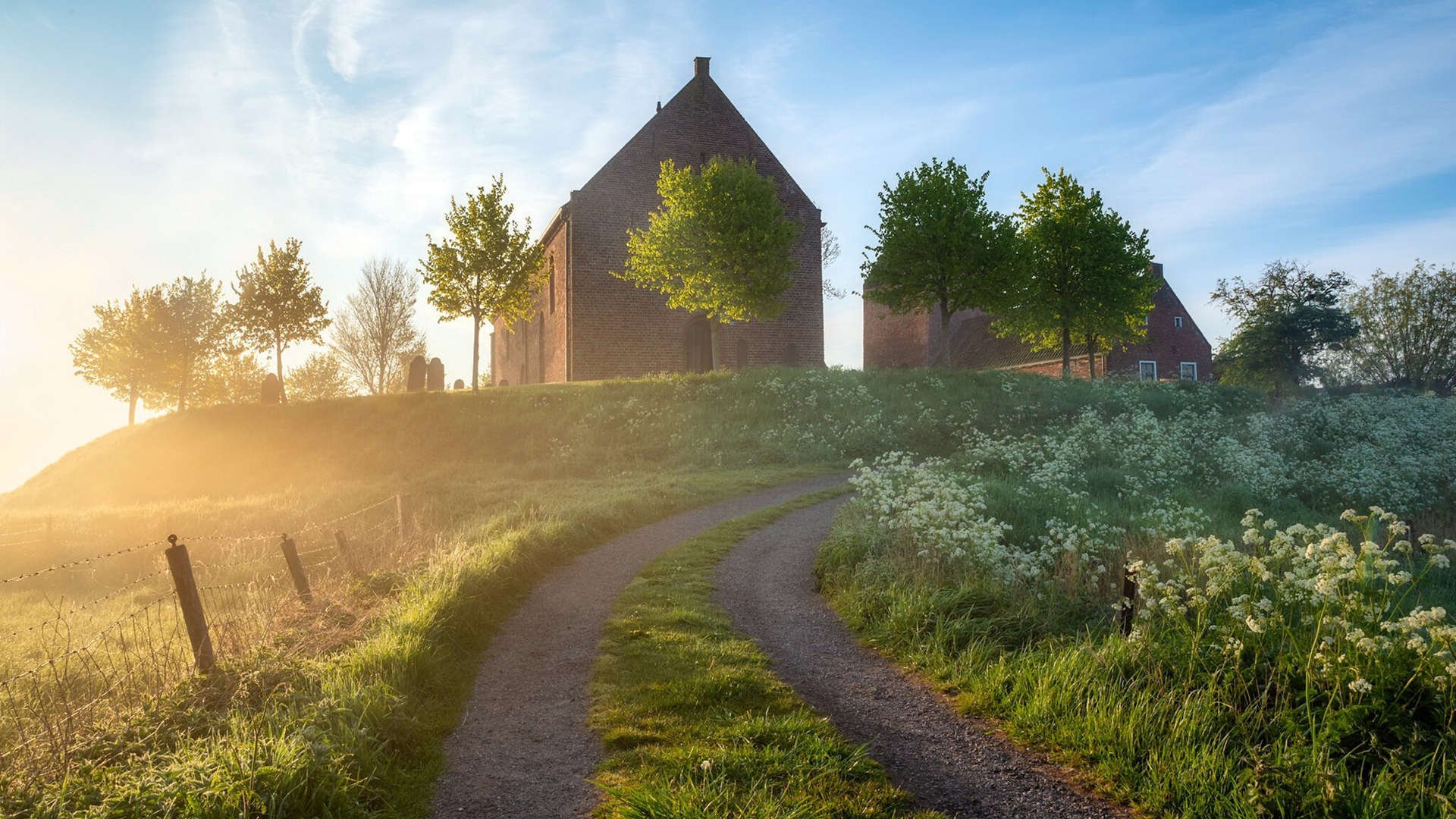 阿隆索的领袖魅力，雷诺车队逆转哈斯车队夺冠记