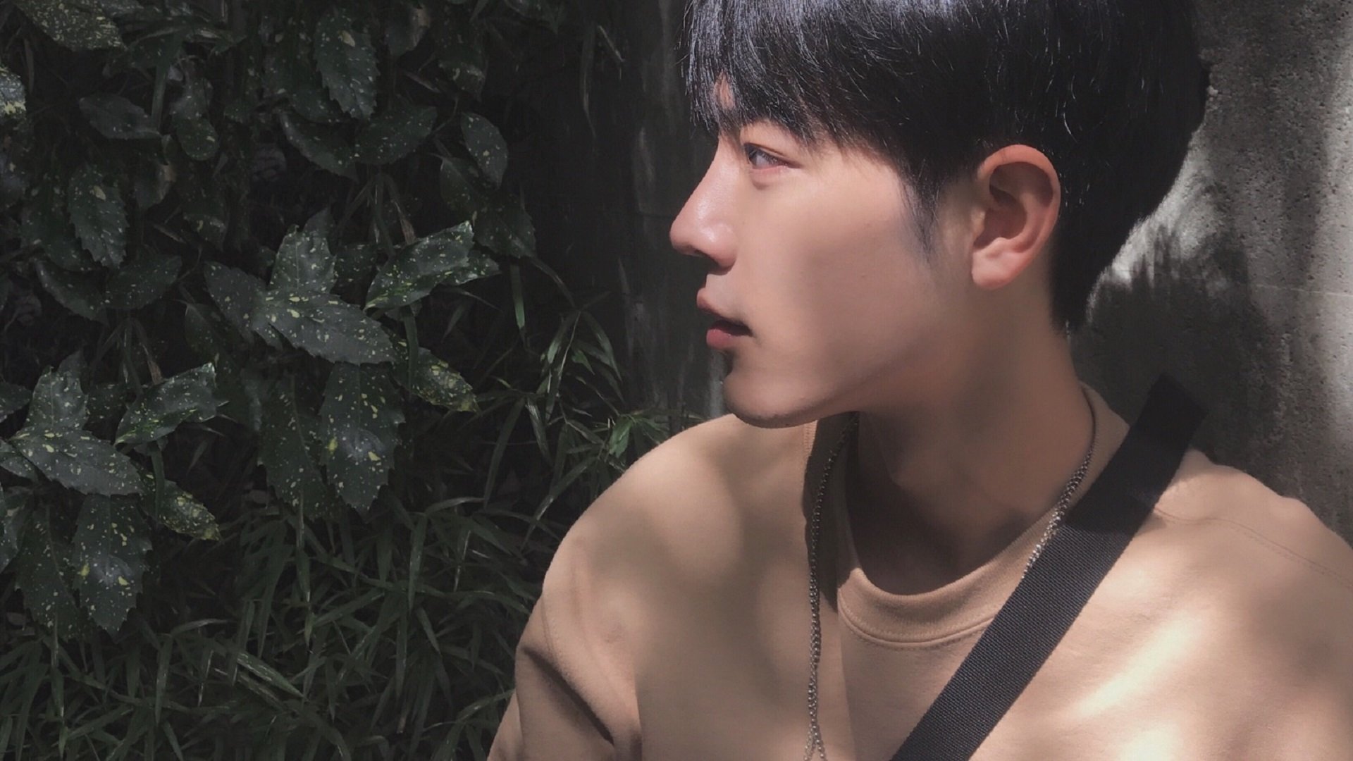 幽灵对决，当新英格兰的铁骑碾过红黑军团的废墟