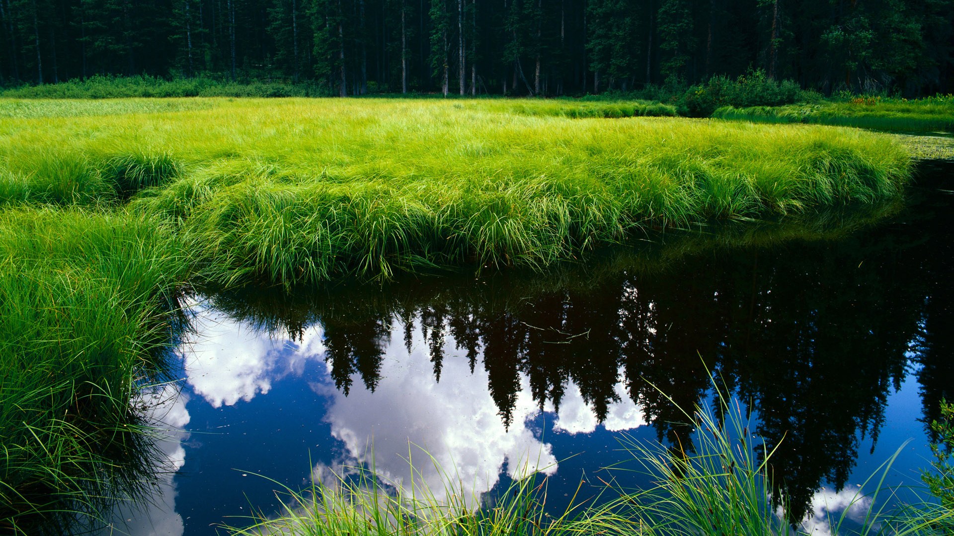 克瓦拉茨赫利亚，梅阿查的魔术师，让国际米兰防线无解的梦魇