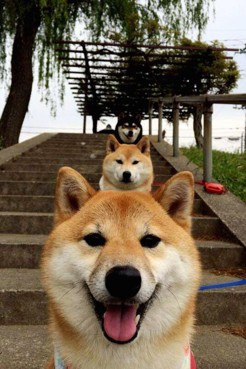 班凯罗，广厦心脏起搏器—攻防转换一肩挑，绝境逆转篮网