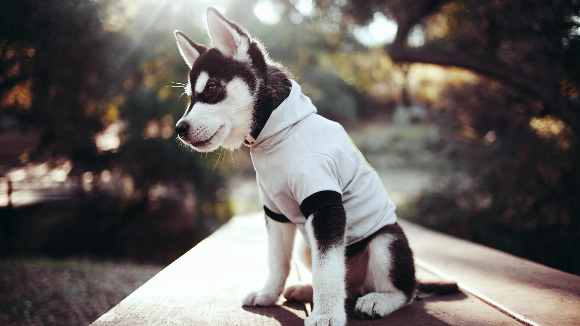 世纪唯一，贝蒂斯巅峰之战力克切尔西，梅西一锤定音改写历史