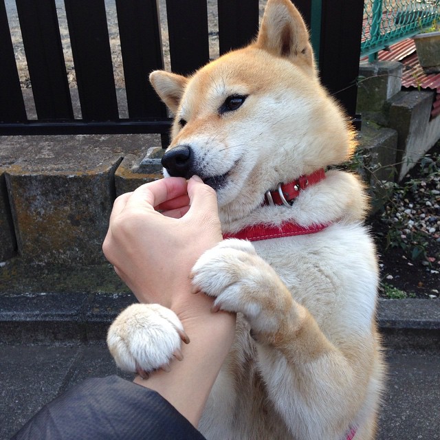 世界排名争夺战焦点战，猛龙惊天翻盘开拓者，排名格局生变