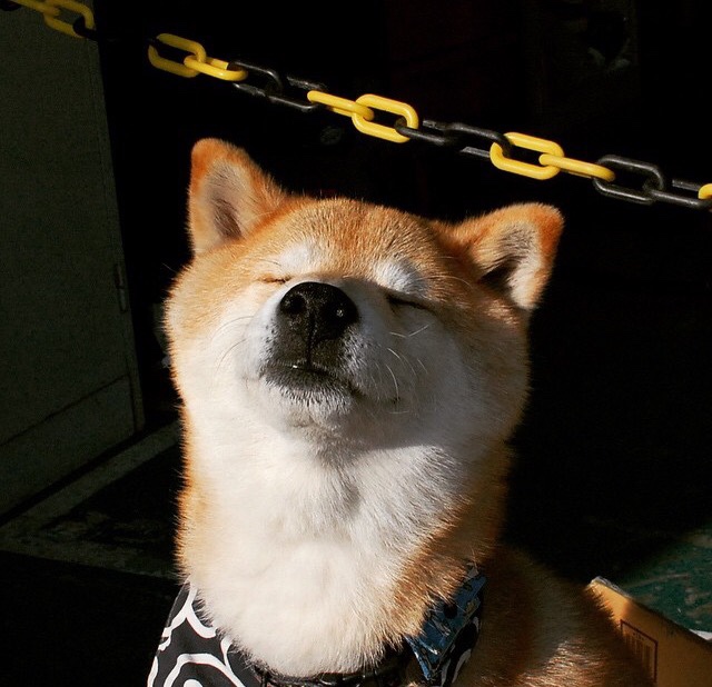 北欧铁壁对抗桑巴风暴，阿劳霍定义防线美学的梦幻对决