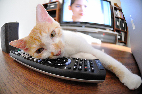 爱游戏体育-戈麦斯归来！那一夜，他用最后一粒德甲进球，刺穿了宿敌的胸膛