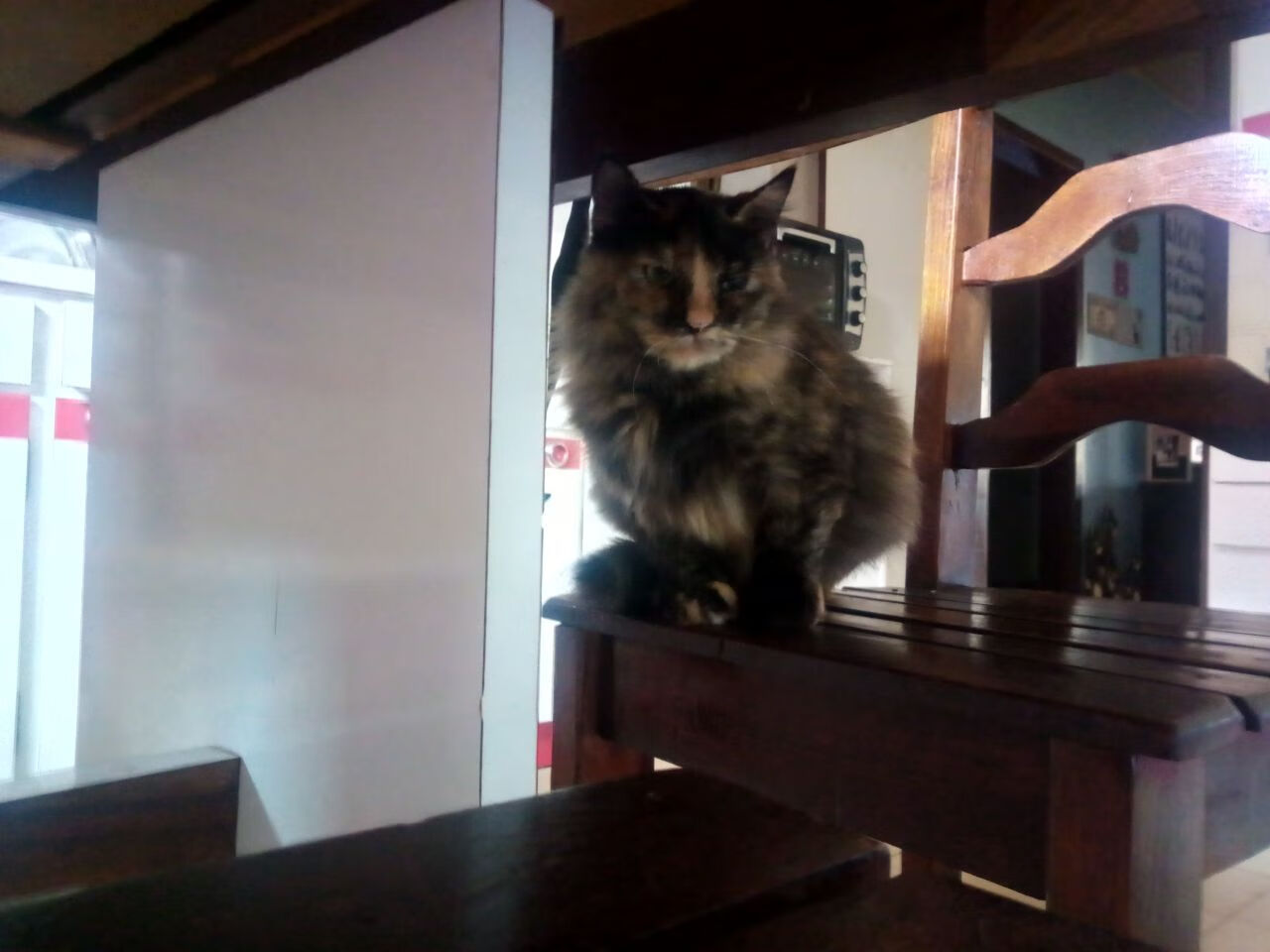 爱游戏娱乐-尼克斯绝杀深圳队，年度焦点之战的终极瞬间