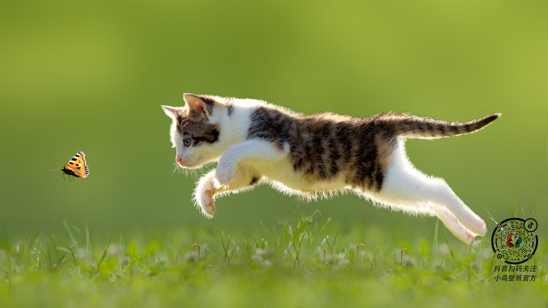 热浪中的叹息之墙，德里赫特在哥斯达黎加对阵巴拉圭的友谊赛中筑起攻防长城