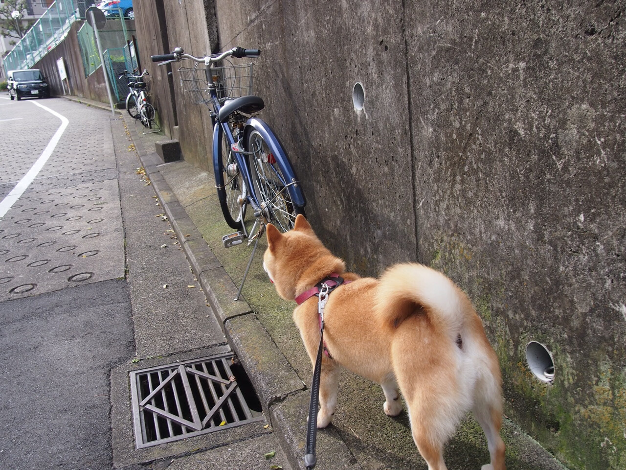 爱游戏-时光交错的篮球诗篇，当山西队遇见火箭，哈登点亮跨文化之夜
