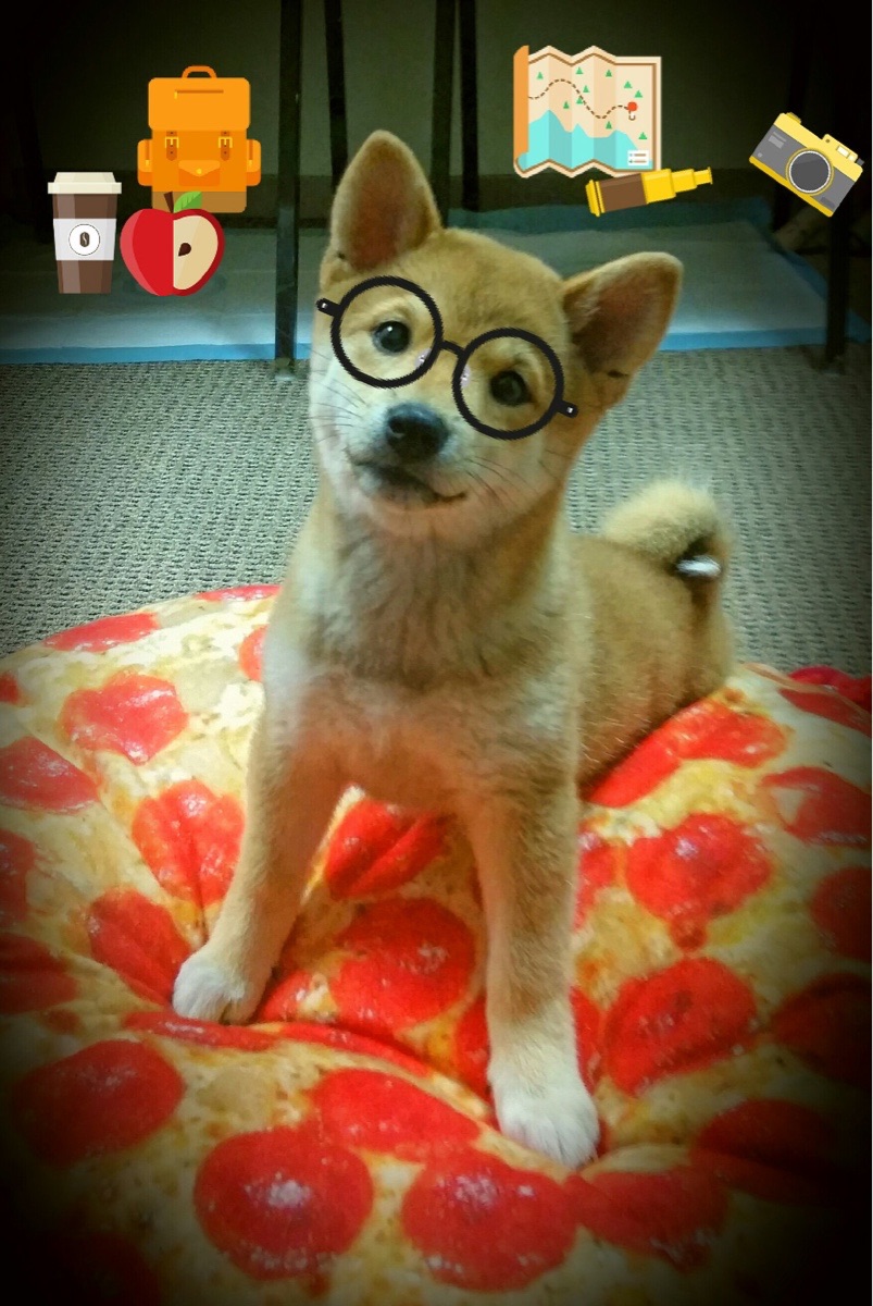 红色铁骑与蓝色上帝，两种击溃，一种足球终极哲学的显现