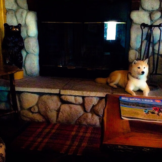 爱游戏娱乐-王炸与独角戏，鹈鹕团队火力打穿雷霆，东契奇孤星照亮达拉斯