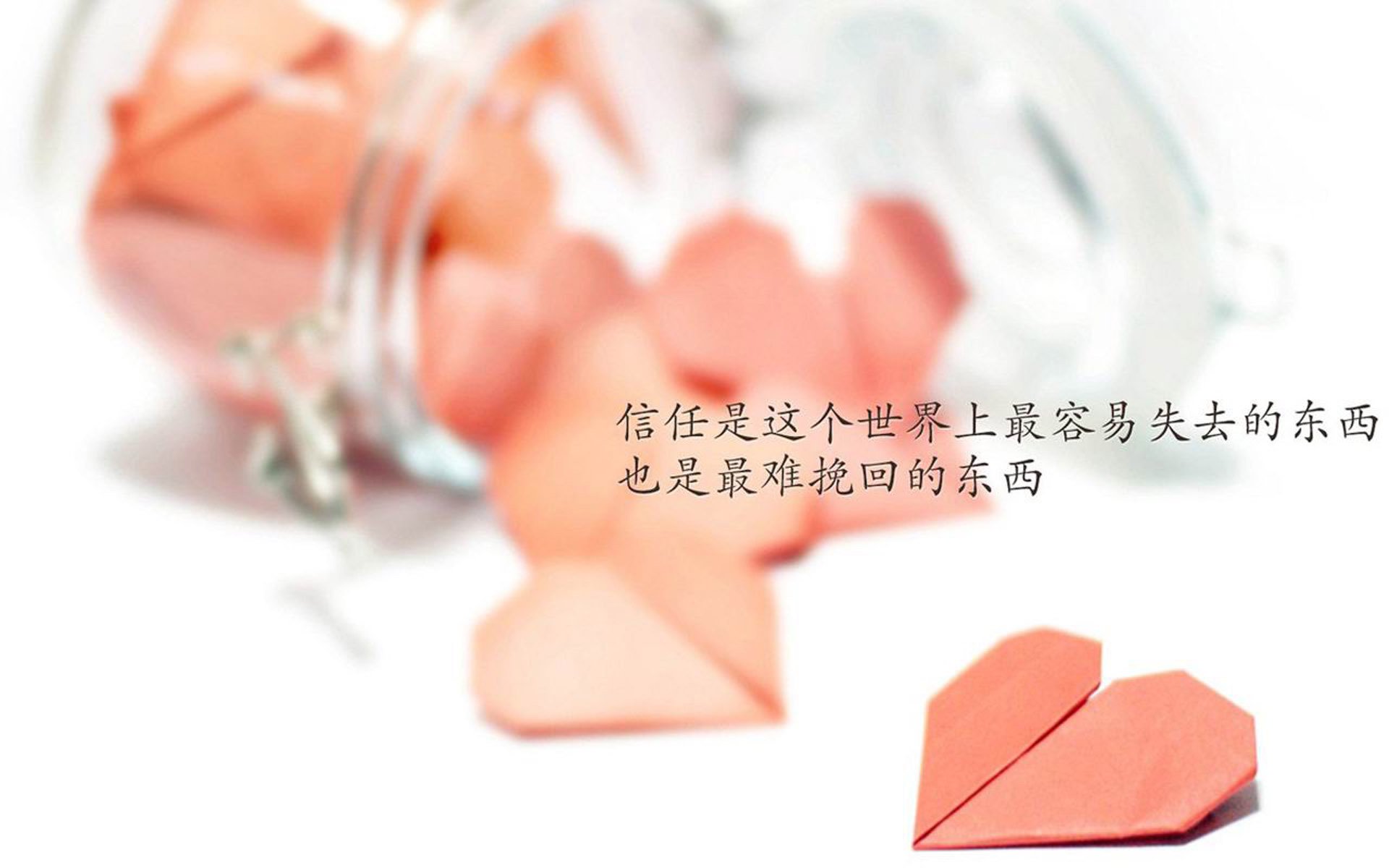 爱游戏入口-冰与火的对决，2026世界杯焦点战，加拿大险胜伊朗，努涅斯一剑封喉