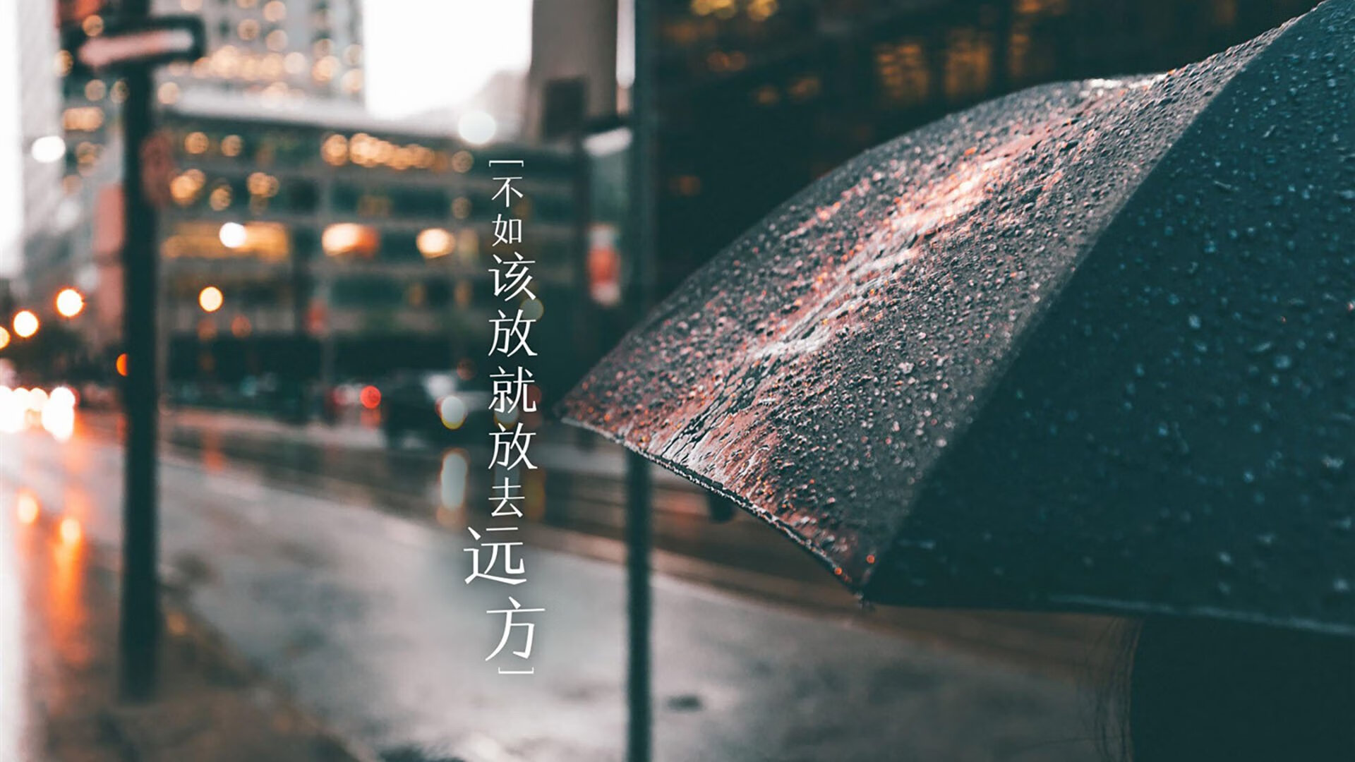 2026世界杯B组焦点战，厄瓜多尔完胜波兰，齐耶赫以魔术师之姿主导全场压制—一场关于唯一性的足球启示录