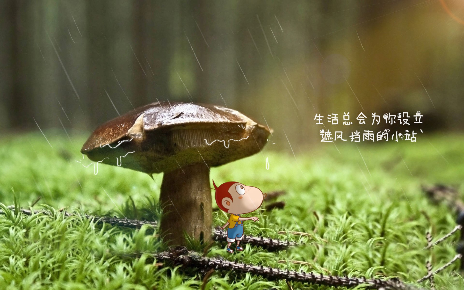 爱游戏娱乐-从不可能到唯一，2026世界杯G组，当印度遇见美国，巴雷拉书写历史的那个夜晚