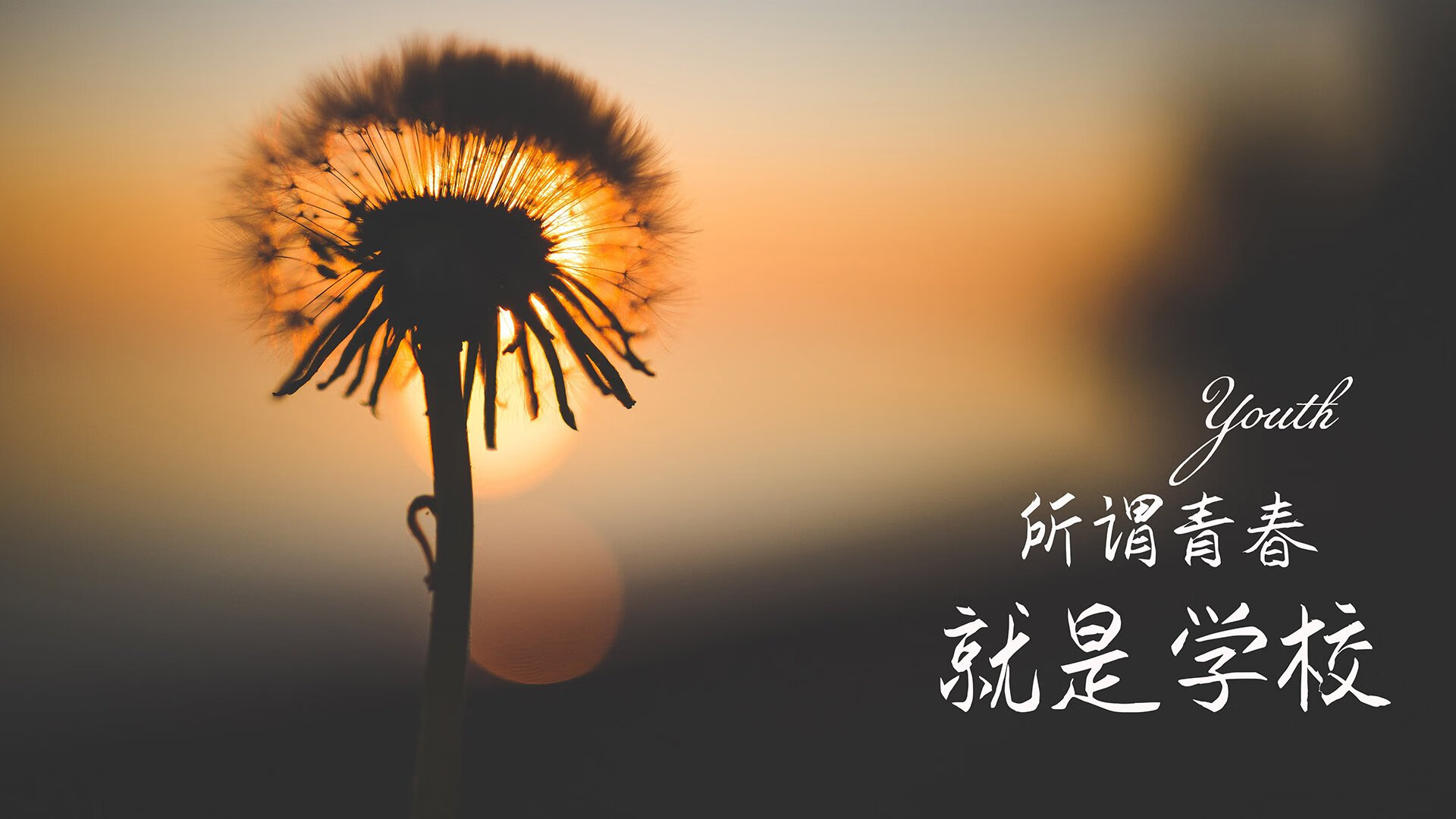 沙漠迷城,2026半决赛,印度铁骑踏碎卡塔尔,努涅斯封神之夜