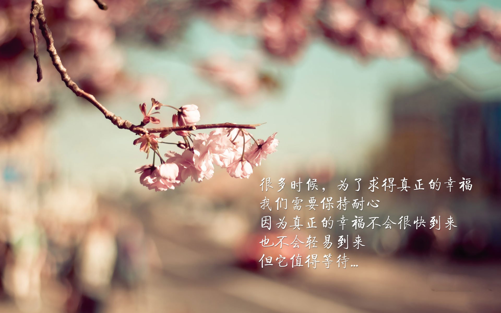 扩展(两个选项)