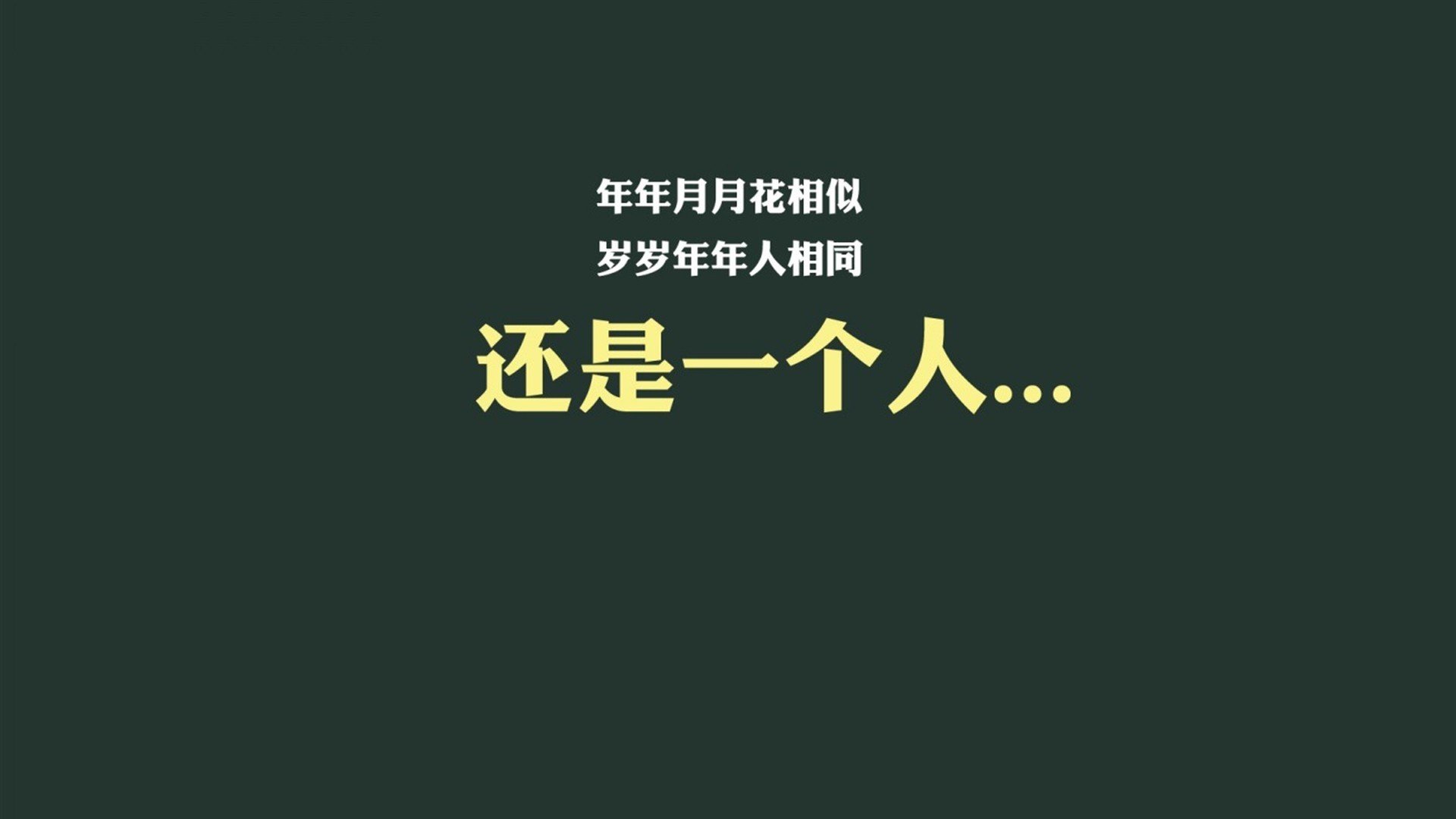 鹿特丹的独白,当厄瓜多尔撕裂橙衣军团,C罗在2026年完成最孤独的加冕