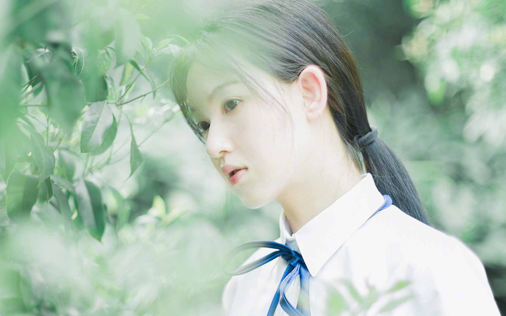 命运的回响，2026，当北欧神话在美洲大地上重演